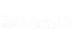Bobcat_2